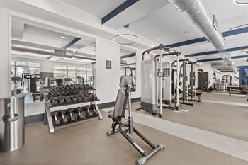 Free weights & agility equipment